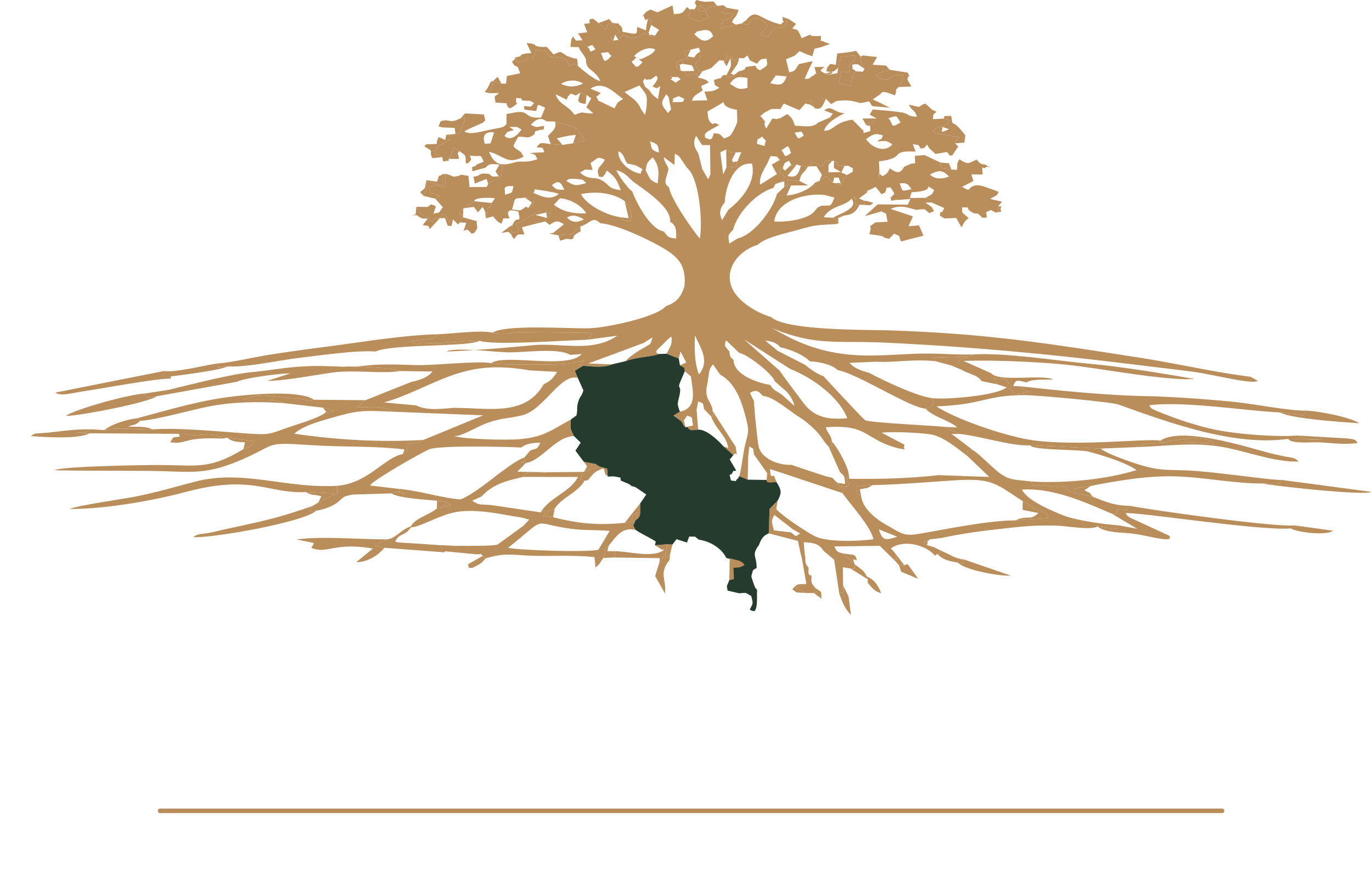 Logo Tierras del NOA