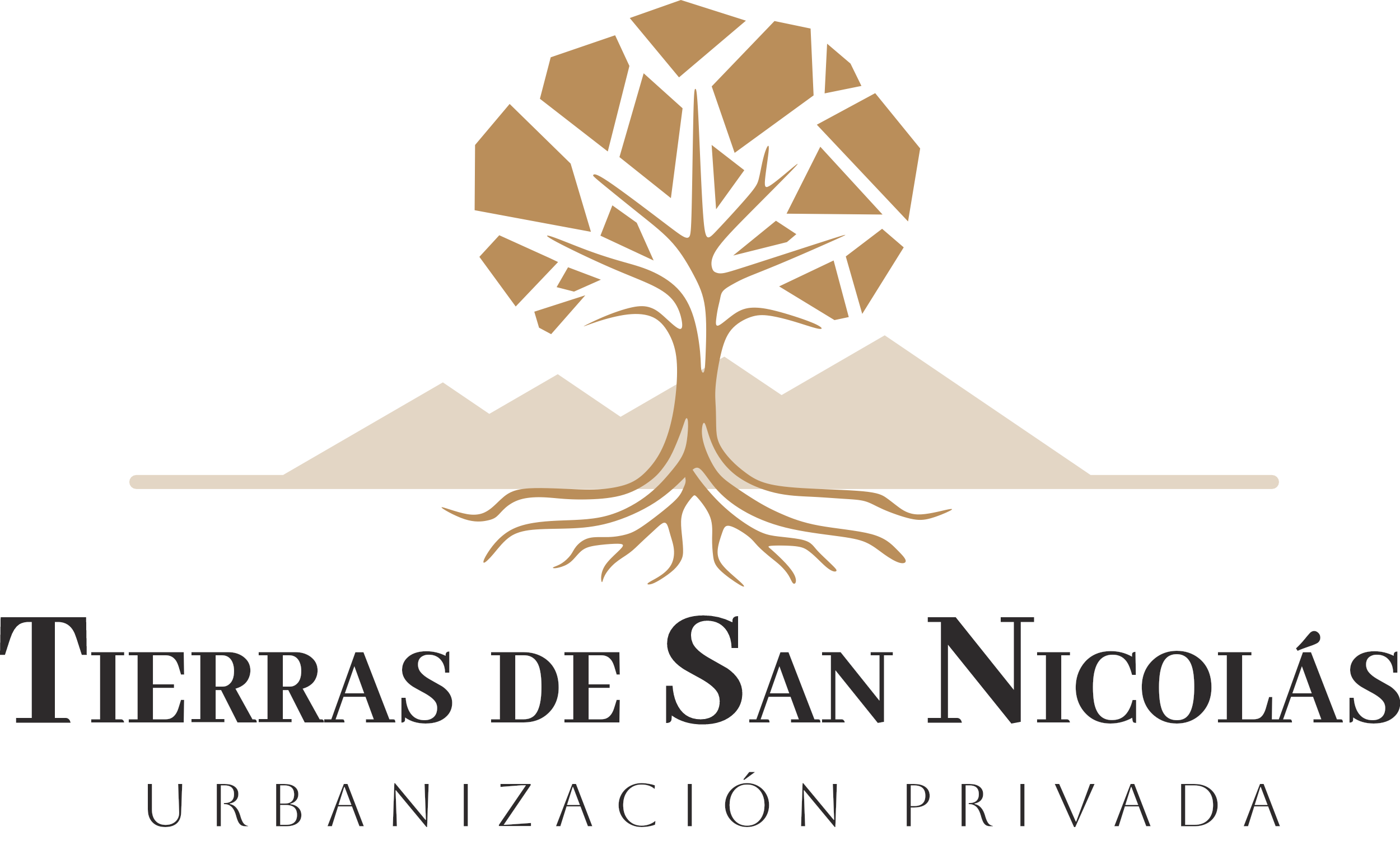 Logo San Nicolás